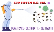 Bucuresti-Sector 2 - ECO SISTEM D.D. SRL