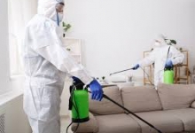 Servicii deratizare Calarasi Servicii Deratizare Calarasi IGIENA SERV