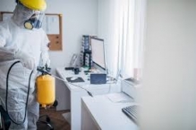 Servicii deratizare Calarasi Servicii Deratizare Calarasi IGIENA SERV