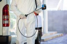 Servicii deratizare Timisoara Servicii Deratizare Timisoara - Cristal Gesmina