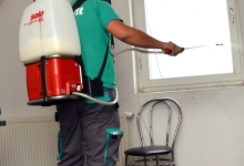 Servicii deratizare Targu Mures Servicii deratizare Targu Mures - SANOFIT UNO