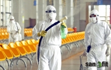 Servicii deratizare Targu Mures Servicii deratizare Targu Mures - SANOFIT UNO