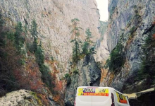 Servicii deratizare Craiova Servicii Deratizare Craiova IGIENA SERV