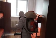 Servicii deratizare Calarasi Servicii Deratizare Calarasi IGIENA SERV