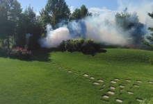 Servicii deratizare Craiova Servicii Deratizare Craiova IGIENA SERV