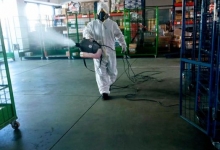 Servicii deratizare Bacau Servicii Deratizare Bacau IGIENA SERV
