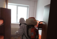 Servicii deratizare Lugoj IGIENA SERV