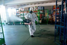 Servicii deratizare Lugoj IGIENA SERV